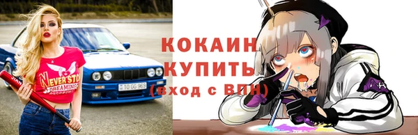 стаф Сосновоборск