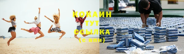 сатива Сосновка