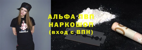 стаф Сосновоборск