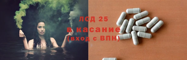 амф Сосновый Бор