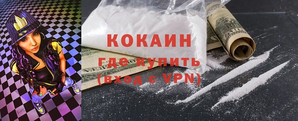 сатива Сосновка