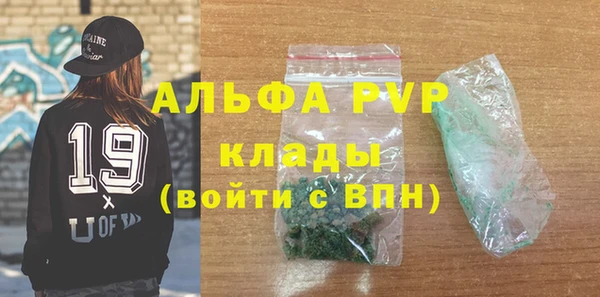 сатива Сосновка