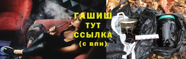 стаф Сосновоборск