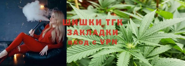 сатива Сосновка